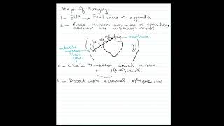 Pediatric Surgery Operative Steps Open Appendectomy [upl. by Gladdy]