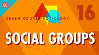 Social Groups Crash Course Sociology 16 [upl. by Jaf]