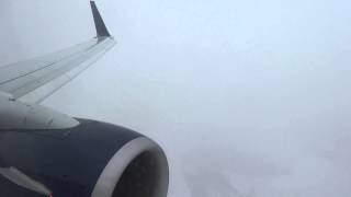 Landing in a Heavy Snowstorm Delta 737900ER Arrival in Detroit [upl. by Elga]