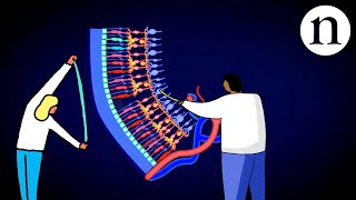 Human Eye Color Lecture  PART3  OCA2 gene  Pprotein  melanosomes  Basic Science Series [upl. by Terryl196]