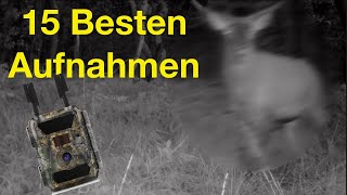 Die 15 besten Wildkamera Aufnahmen 2020 aus Revier und Umgebung  Hunting Ground Belgium [upl. by Yenittirb]