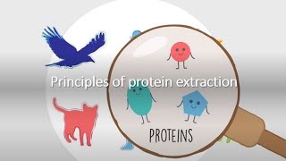 Principles of Protein Extraction [upl. by Nryhtak]