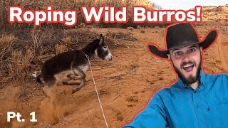 Roping Wild Burros On Navajo Reservation pt 1 Vlog 32 [upl. by Aseefan]