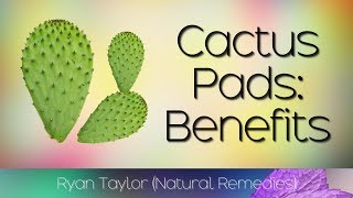 Cactus Leaf Benefits amp Uses Nopales [upl. by Nee]