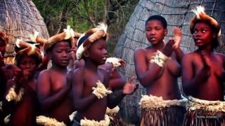 Beautiful Traditional African Zulu Dancing Africa Travel Channel [upl. by Afatsum]