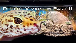 Bioactive and Enriched Desert Vivarium Part II Leopard Gecko Setup [upl. by Itnahsa]