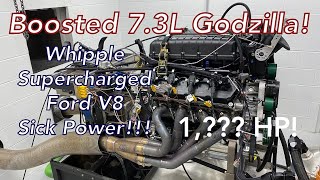 Supercharged Godzilla 73L Ford V8 Makes Insane Horsepower  Listen to this Whipple Roar on the Dyno [upl. by Latreece]