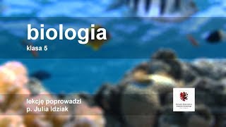 Klasa 5  Biologia  budowa i funkcje łodygi  szkoła [upl. by Linell595]