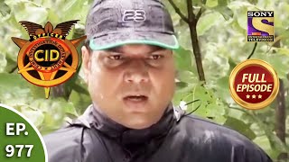 CID  सीआईडी  Ep 977 Jungle Mystery  Full Episode [upl. by Aramoiz]