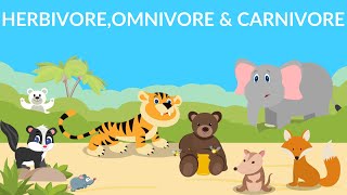 Herbivores  Carnivores  Omnivores  Types of Animals [upl. by Ronna]