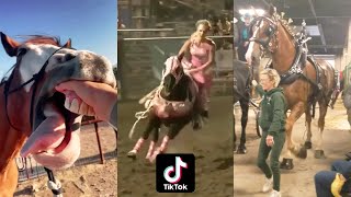 Horse Videos That Went Viral 1 [upl. by Amin]