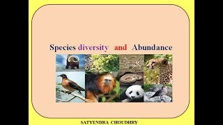 Species diversity and abundance [upl. by Ulphia650]