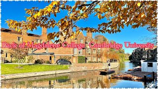 Cambridge University Magdalene 剑大麦克达林学院后院HD CollegeriverboatAutumncoloursky [upl. by Dragoon]