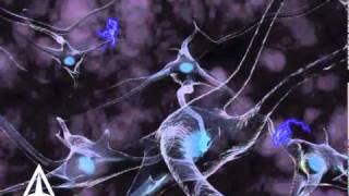 How Neurotransmission amp brain signals work  3D animation [upl. by Canon]