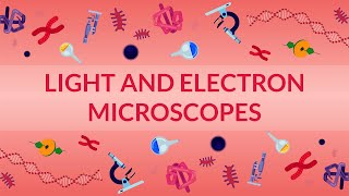 WHAT ARE LIGHT AND ELECTRON MICROSCOPES  HOW DO THEY WORK [upl. by Annad]