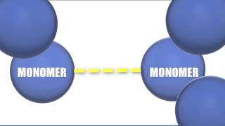 Monomers vs Polymers  Biology Tutorial [upl. by Don]