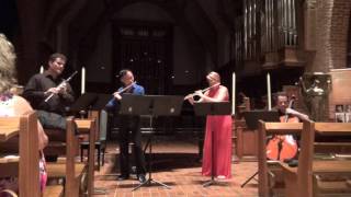 Telemann quotTafelmusikquot Quartet in D Minor TWV 43d1 [upl. by Jaynell]