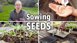 Sowing Seeds Absolutely Everything You Need to Know [upl. by Templer927]