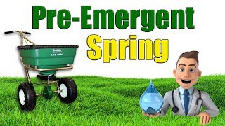 When to Put Down Spring Pre Emergent [upl. by Meier]