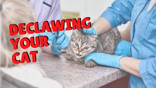 Declawing Cats  Twocrazycatladiesofficial [upl. by Grube]