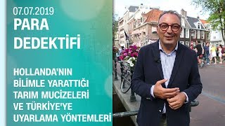 Hollandanın tarım mucizeleri ve Türkiyeye uyarlama yöntemleri  Para Dedektifi 07 07 2019 [upl. by Seligmann]