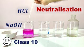 Neutralisation Reaction [upl. by Aimar]