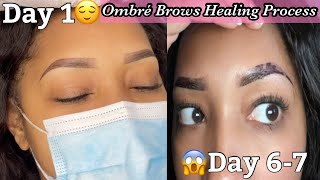 Ombre Brows Healing Process [upl. by Gil339]