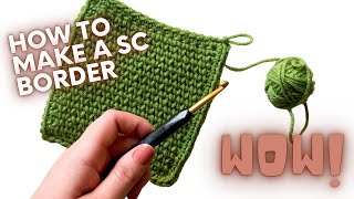 How To Single Crochet a Blanket Border  PERFECT FOR BEGINNERS [upl. by Klenk44]