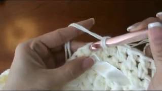 Easy Crochet Lace Border Video 1 STEP BY STEP TUTORIAL [upl. by Eus477]