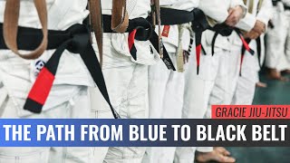 The Path from Blue to Black Belt Master Cycle [upl. by Nnyllatsyrc]