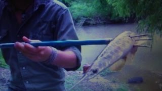 How to Use a Spearpole Hawaiian Sling [upl. by Eical]