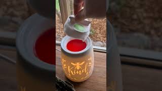 How to use the Scentsy Warmer amp Wax fragrance system 💕 [upl. by Kristel]