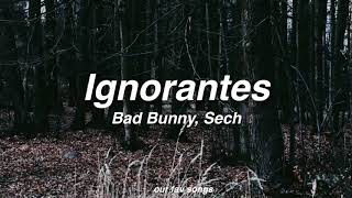 ignorantes bad bunny sech lyricsletra [upl. by Aelgna713]