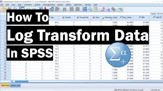 How To Log Transform Data In SPSS [upl. by Enal]