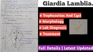 Giardia lamblia  giardia lamblia life cycle [upl. by Ayisan]