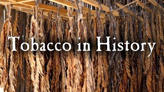 Growing Tobacco In Early America [upl. by Nihcas310]