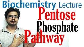 Pentose phosphate pathway [upl. by Dougald]