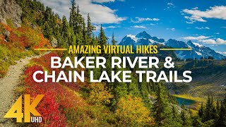 4K Virtual Hike Near River through the Forest  Baker River Trail amp Chain Lake Trail [upl. by Yenaled169]