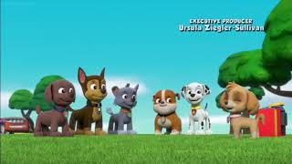 Paw patrol Clip Pup pup boogie Dance party [upl. by Annaoi]