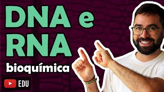 DNA e RNA Ácidos Nucleicos  LEIA A DESCRIÇÃO [upl. by Selec]