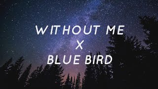 Without Me X Blue Bird  Eminem X Ikimonogakari Lyrics  Tiktok Song [upl. by Ymarej]