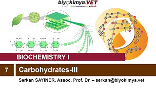 BIOCHEMISTRYI  Topic 7 CarbohydratesIII [upl. by Oicram604]