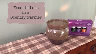 Essential oils in a Scentsy warmer [upl. by Akcira]