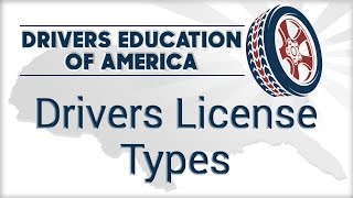 Driver License Types [upl. by Lertsek]