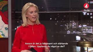 Best of Leif GW Persson i Brottsjournalen TV4 [upl. by Releyks]