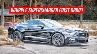 2016 Mustang GT Whipple Supercharger First Start and Drive [upl. by Neuberger]