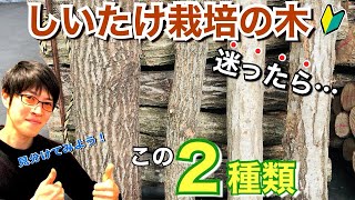 迷ったらコレ！しいたけ栽培に使う木の“種類と見分け方”【原木椎茸栽培】 [upl. by Ensign95]