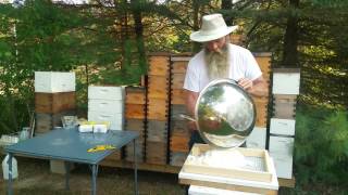 How to Prepare Your Bees for Winter  Candy boards and Preparing your Hive [upl. by Hilary551]