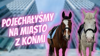 POJECHAŁYŚMY KONNO DO MIASTA 🏙️ [upl. by Anidene]