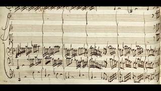 VIVALDI  Concerto con 2 Violoncelli  RV 531 in G minor  Original manuscript [upl. by Slavic]